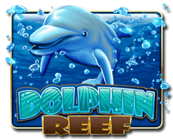 Dolphin Reef Game