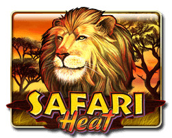 Safari Meat